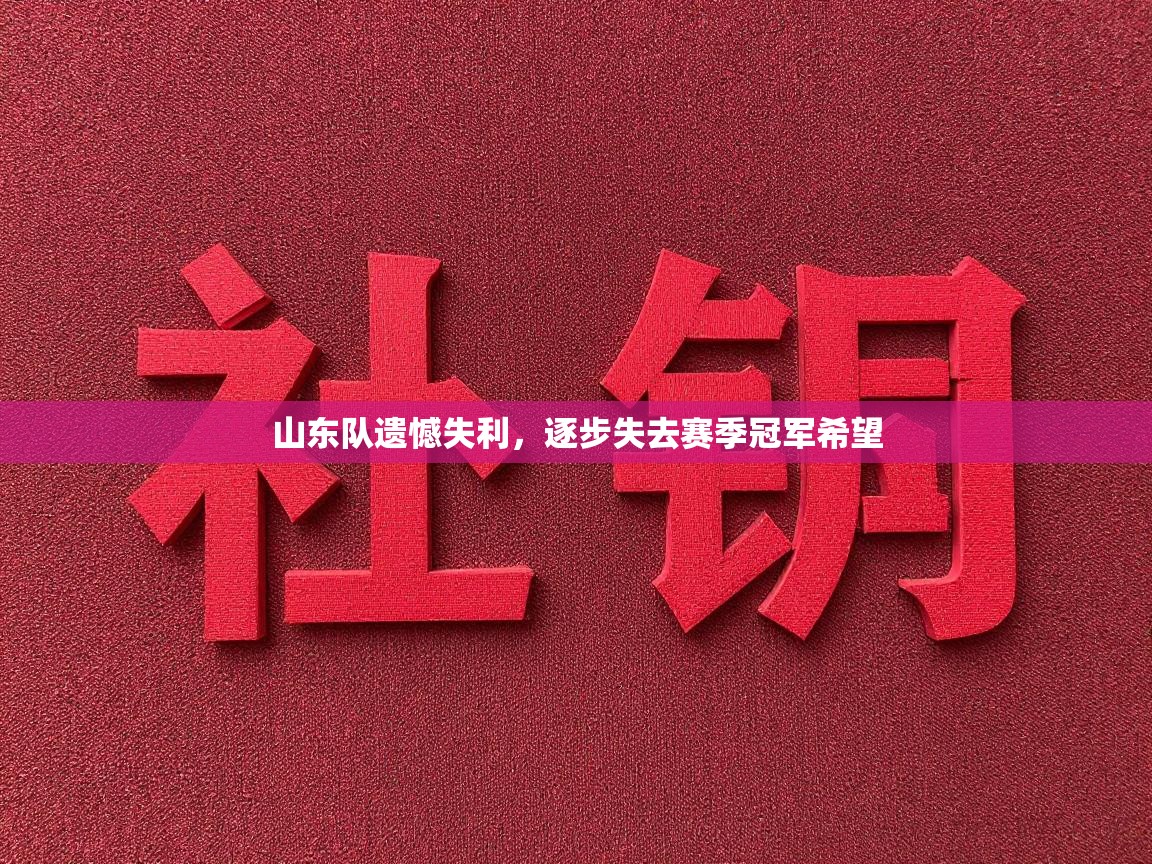 山东队遗憾失利，逐步失去赛季冠军希望  第1张